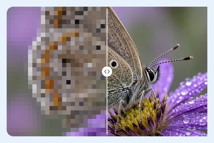 Old Photo Restoration Online Free Path